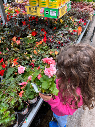 I Found Joy Through Flowers When I Lost My Job